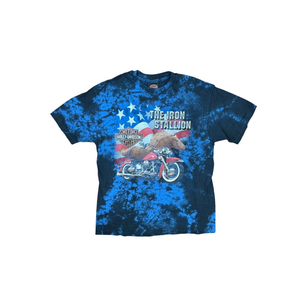 Harley Davidson 90s Blue Tie Dye Eagles T-shirt Hanes Beefy Size Large